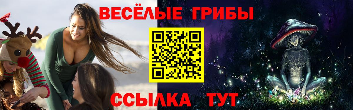 Галлюциногенные грибы мицелий  дарнет шоп  Вход с VPN  Старая Русса  Псилоцибиновые грибы мухоморы 
